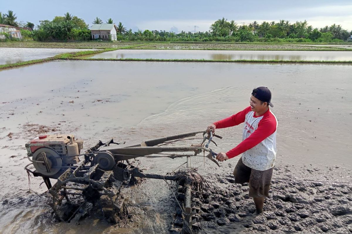 Makna kemerdekaan di kalangan masyarakat akar rumput