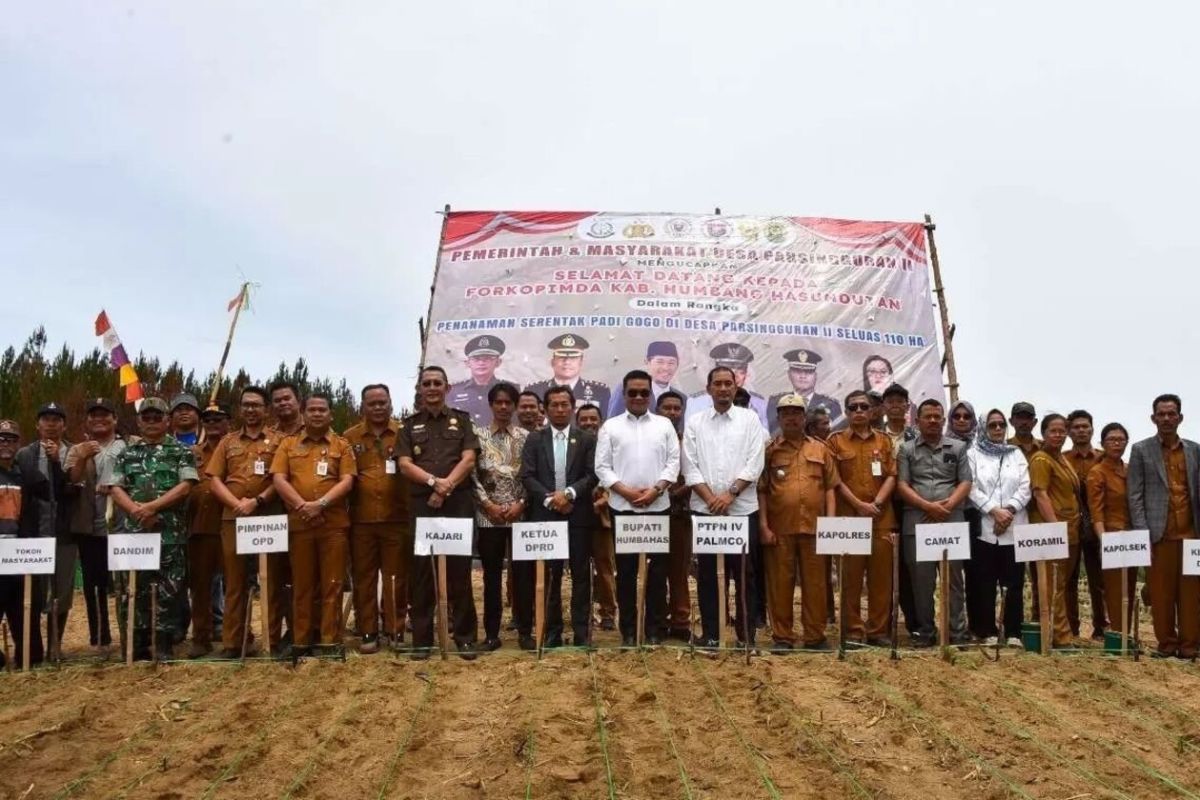 HUT ke-80 RI, PTPN IV PalmCo beri bibit padi untuk 110 hektar lahan