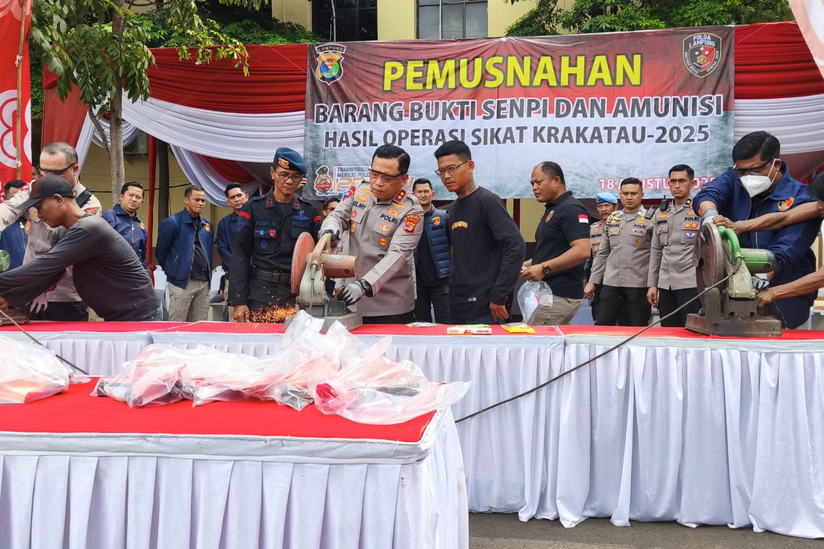 Polda Lampung musnahkan 50 senpi ilegal hasil Operasi Sikat Krakatau