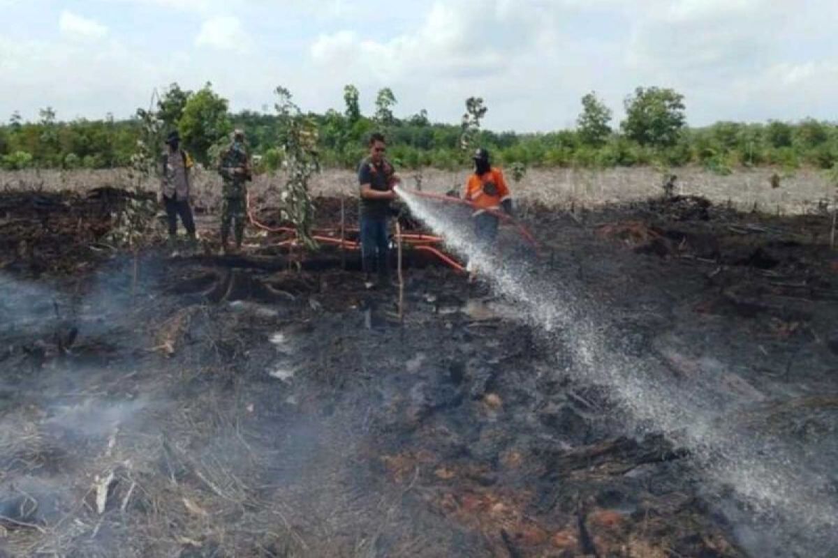 BPBD Sumsel sebut tiga daerah masuk zona merah Karhutla