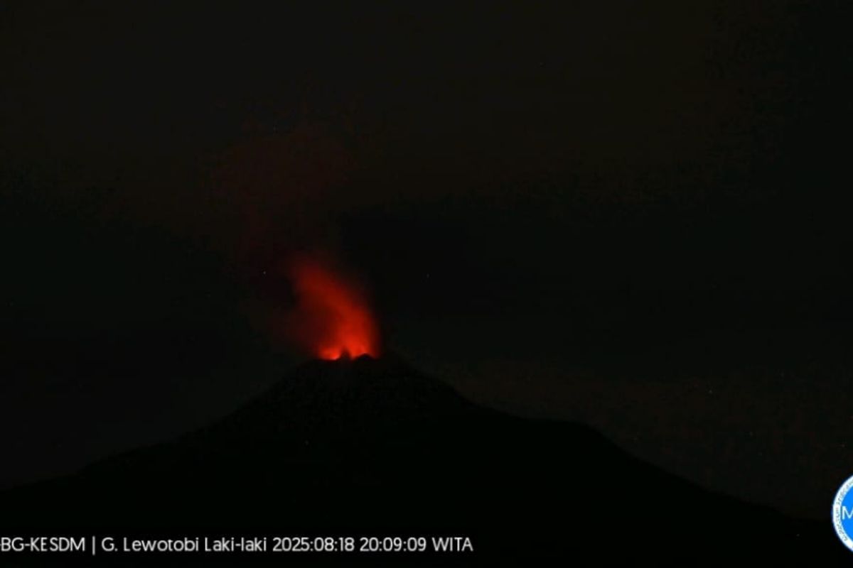 Enam penerbangan di NTT batal dampak erupsi Gunung Lewotobi