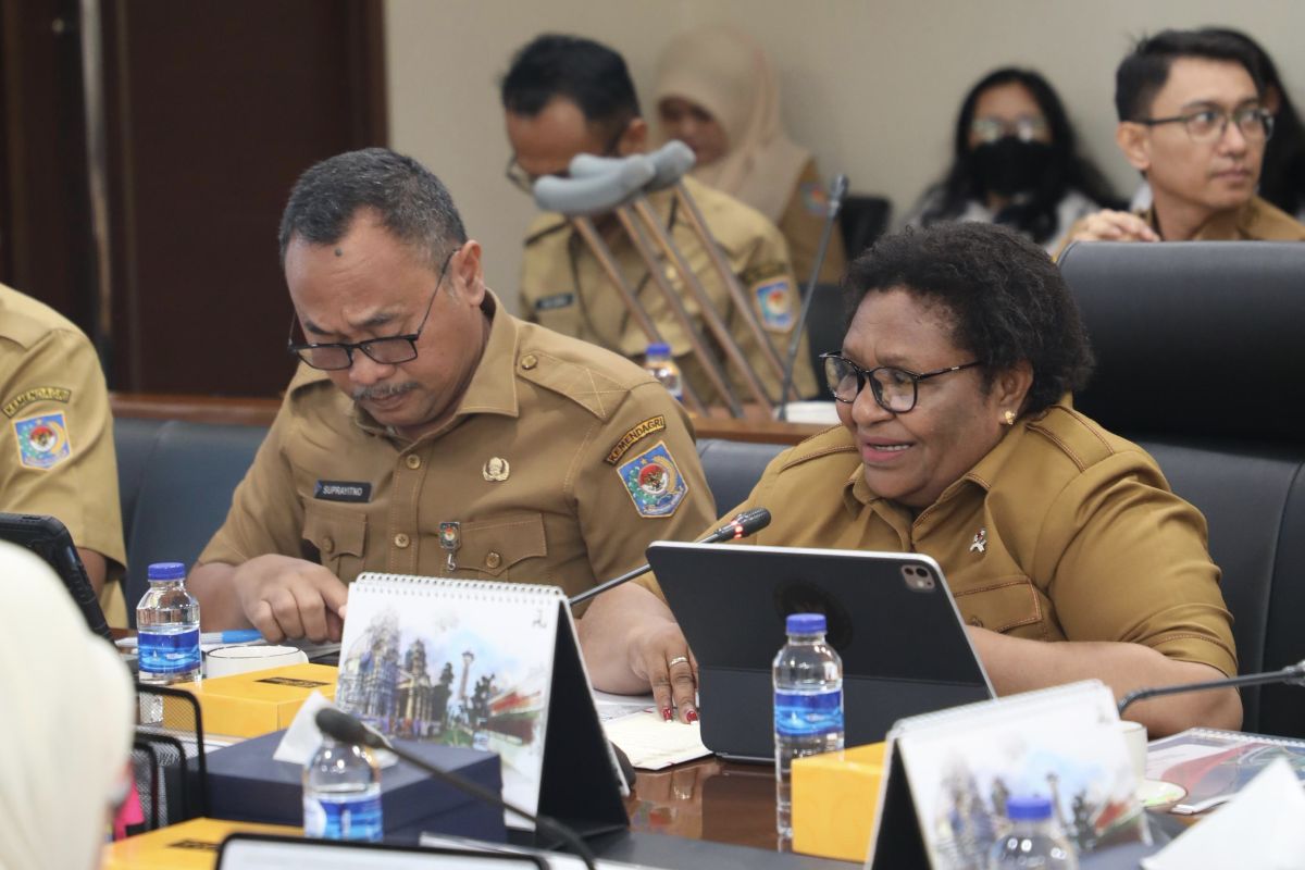 Ribka Haluk: DOB Papua ditargetkan operasional pada 2028