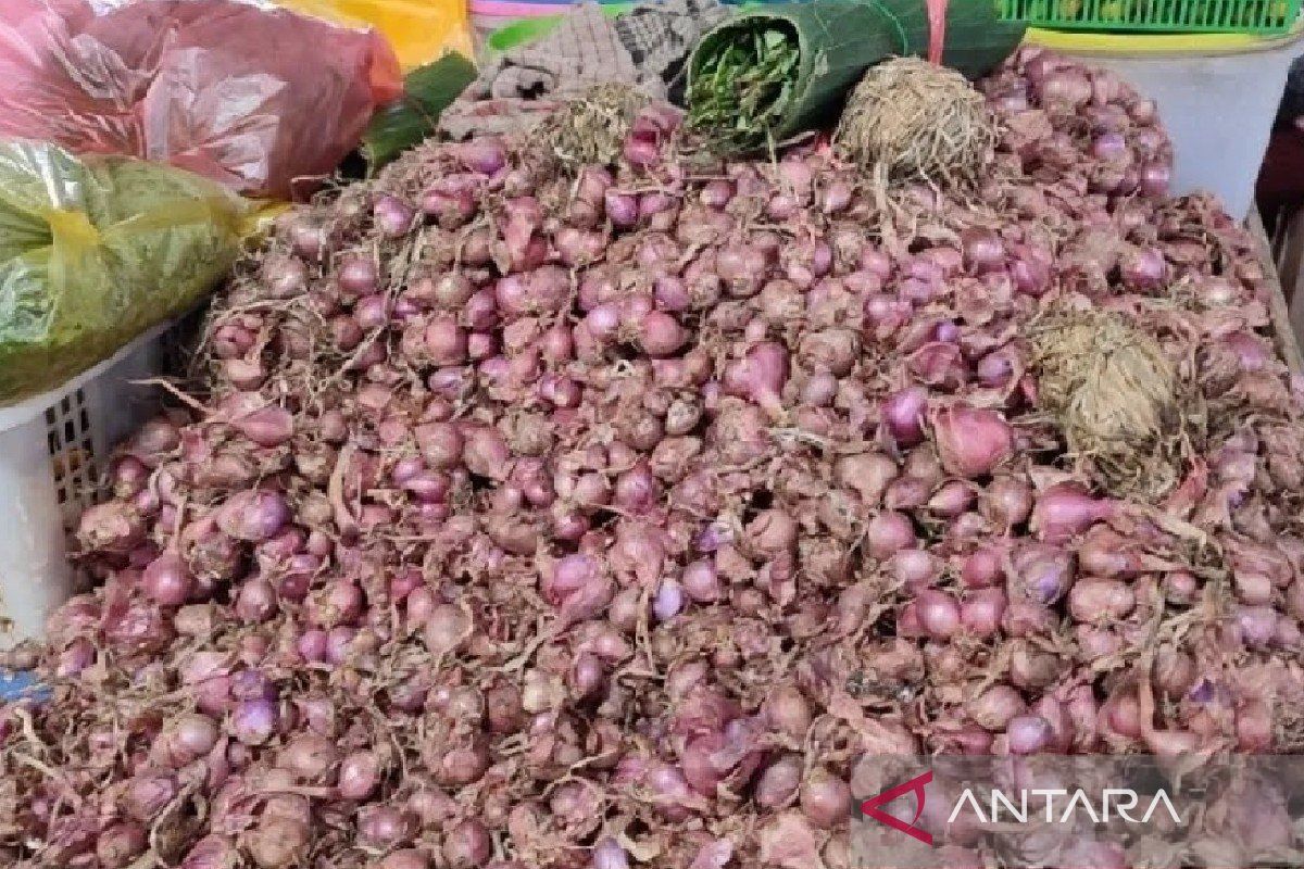 Harga bawang merah antarpulau di Jayapura mencapai Rp75.000 per kg
