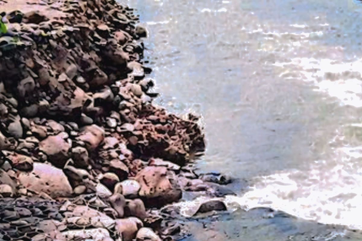 Bronjong Desa Kelumpang OKU ambruk akibat debit air sungai naik