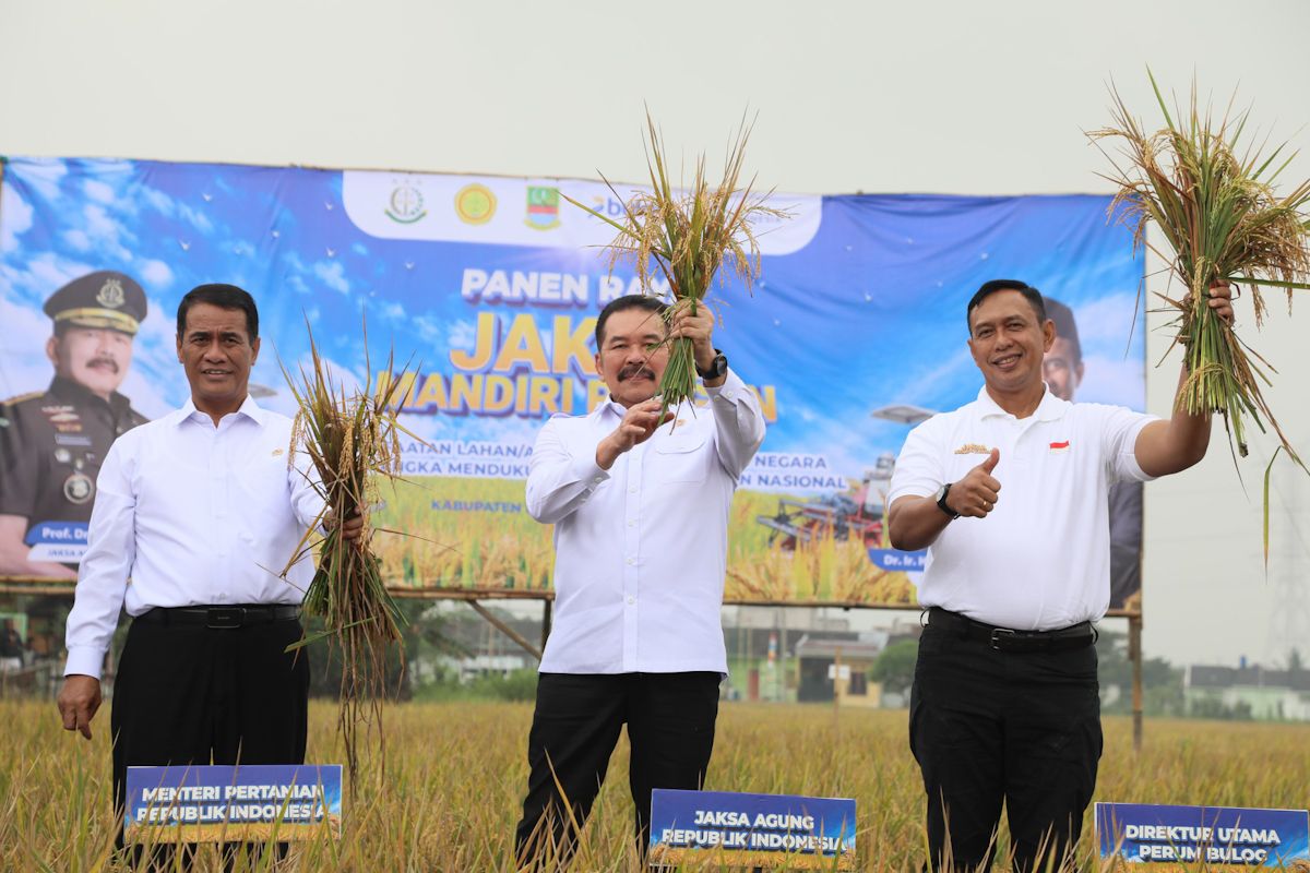 Mentan sebut Kejagung berperan penting dukung swasembada pangan