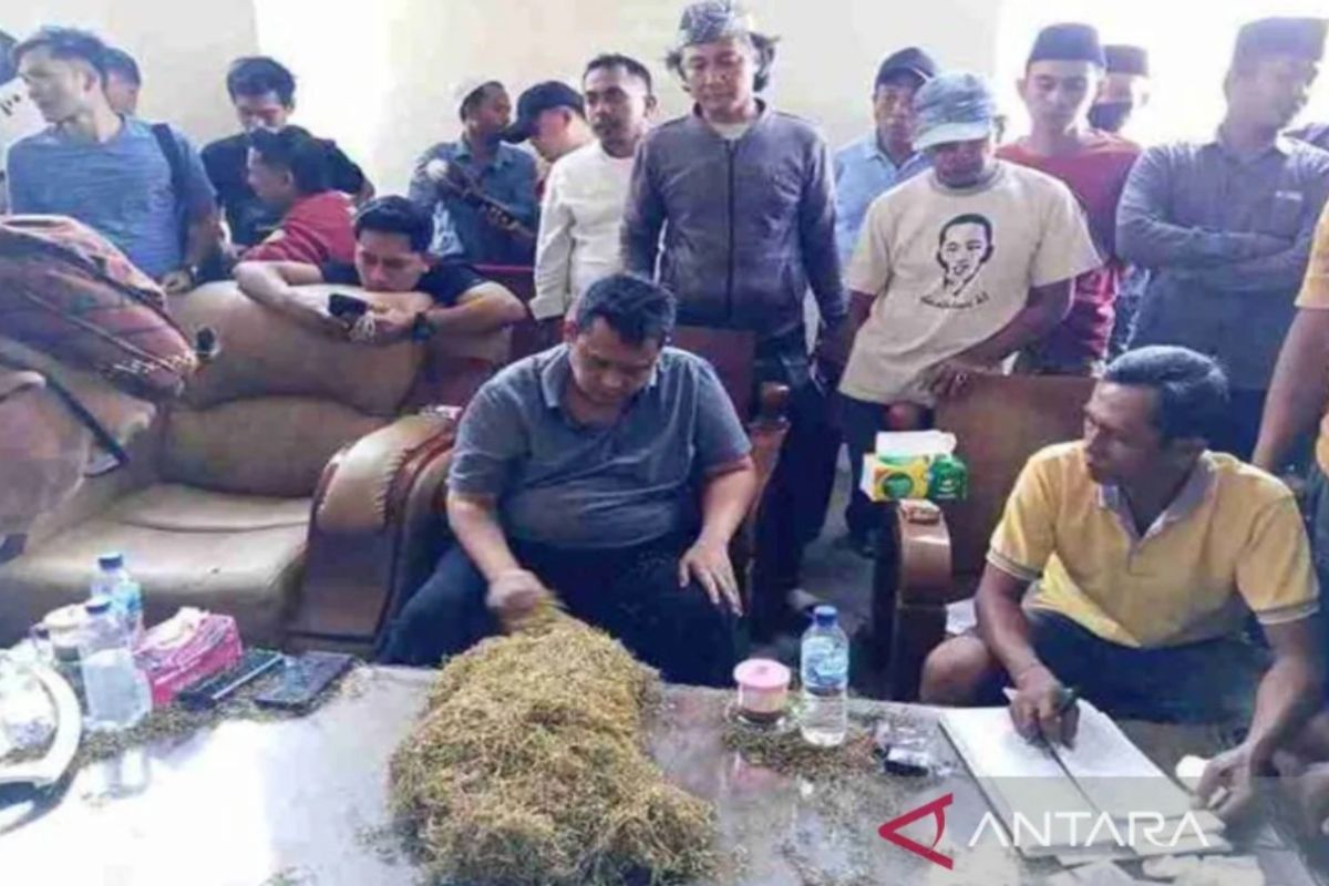 350 ulama pesantren Madura patungan beli tembakau petani