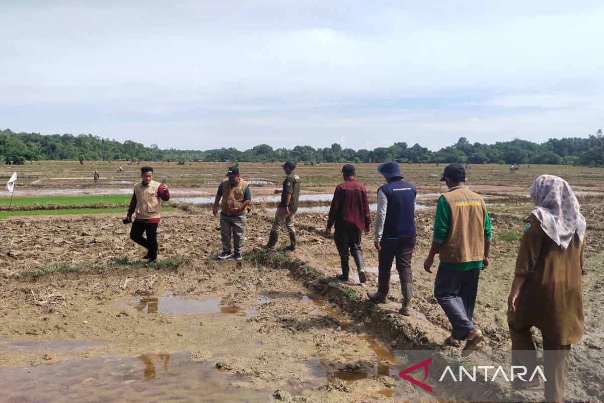 Pemkab Simeulue bangun waduk untuk sumber air di musim kemarau