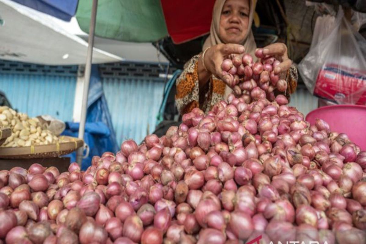 Pemkot Palu: Harga bawang merah melonjak Rp60 ribu per kilogram