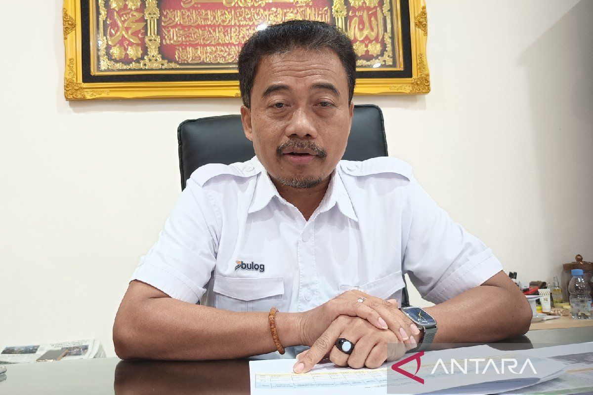 Bulog beli 15.219 ton beras dari para petani di Merauke