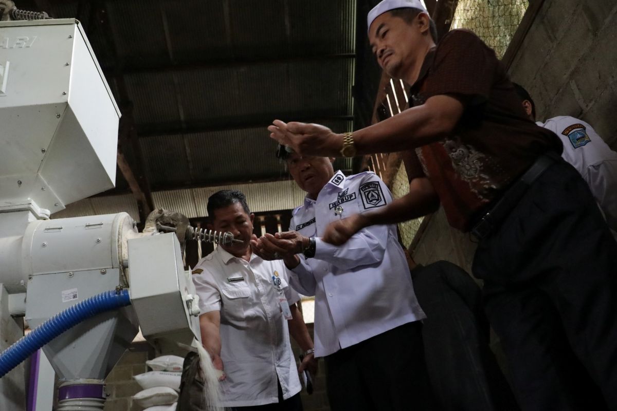 Wabup HSS tekankan RMU Elevator tingkatkan kualitas beras