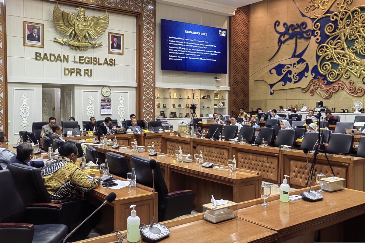 Panja RUU PPRT pertimbangkan atur aplikator penyedia jasa PRT online