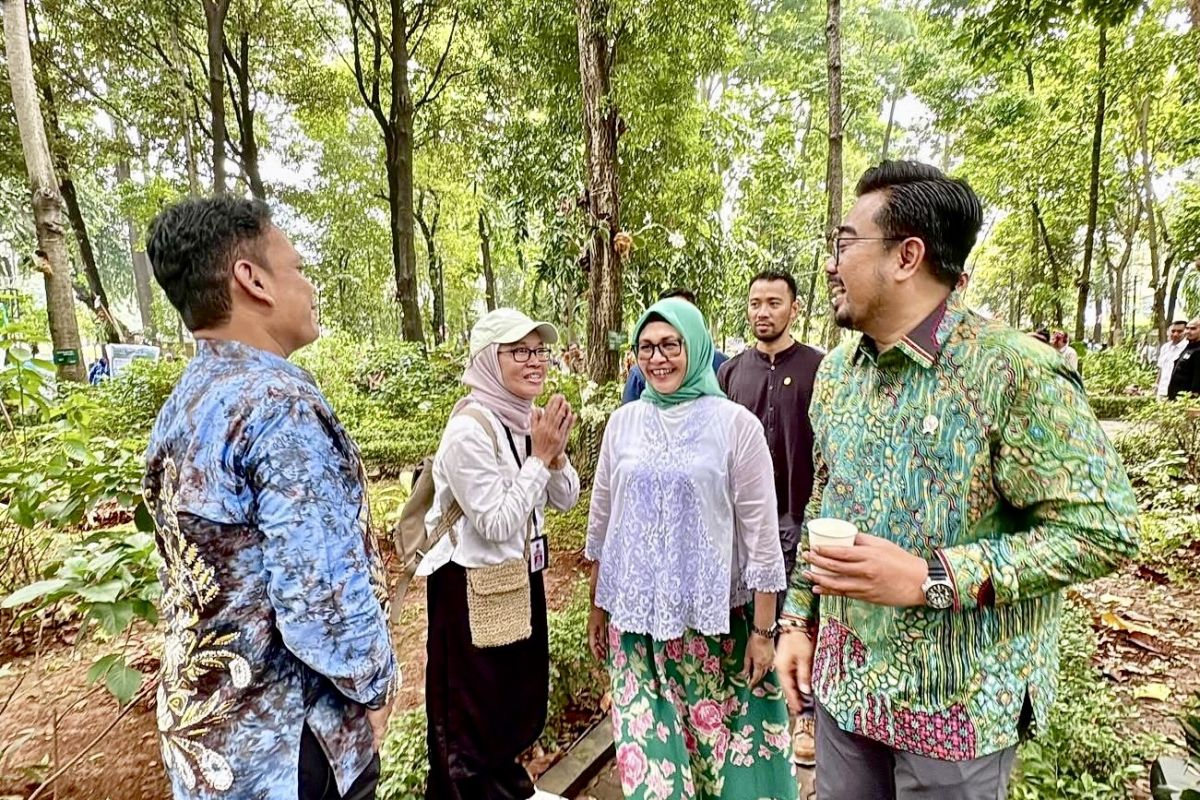 Dishut Kalsel: Pasar RHL Kemenhut layak diterapkan di daerah