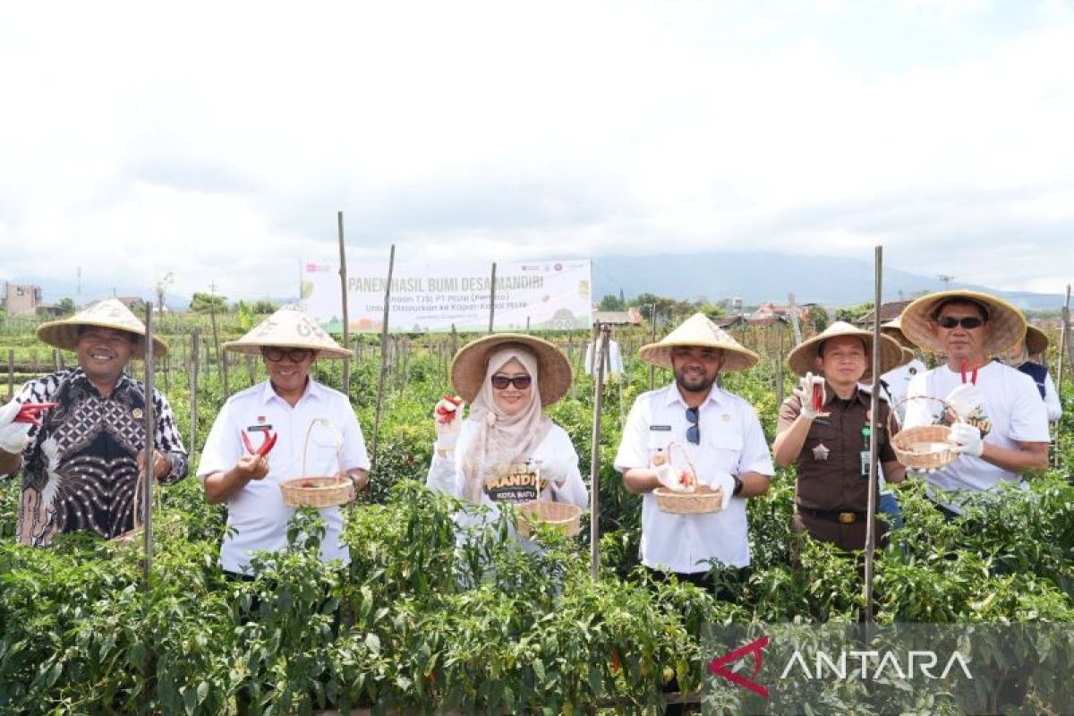 Pelni berdayakan desa mandiri untuk pasok makanan penumpang