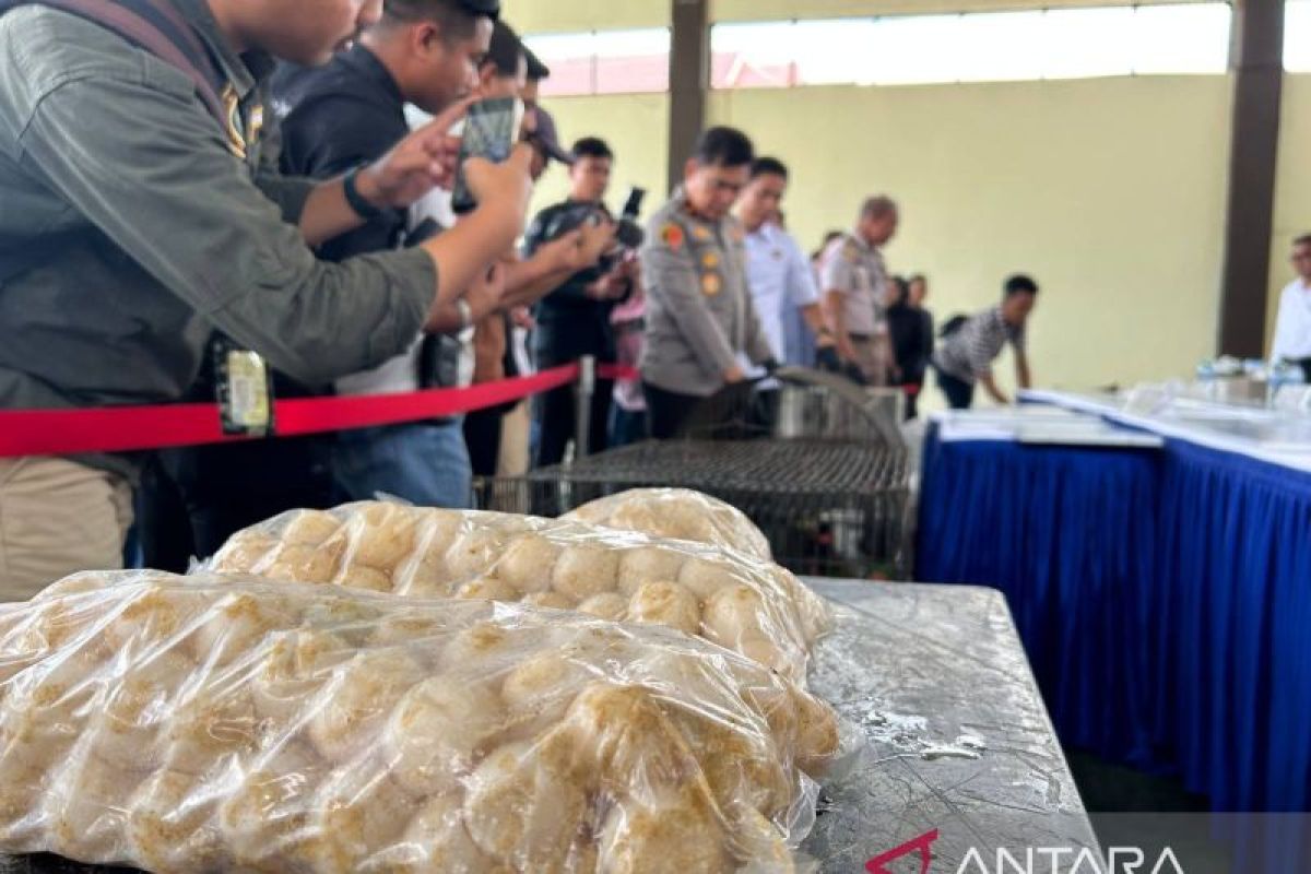 Polda Kepri gagalkan penyeludupan 2.020 butir telur penyu Bintan ke Singapura