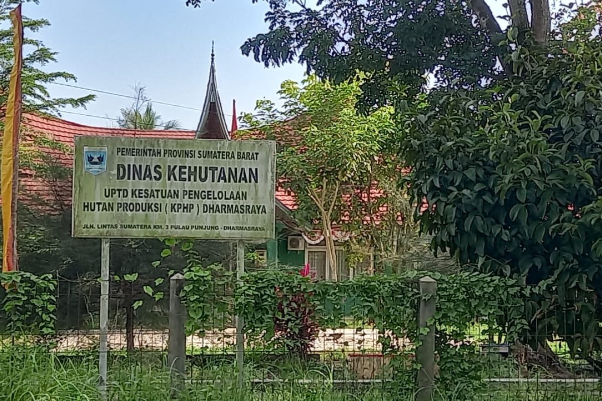 9.205 hektare sawit masyarakat Dharmasraya dalam kawasan hutan