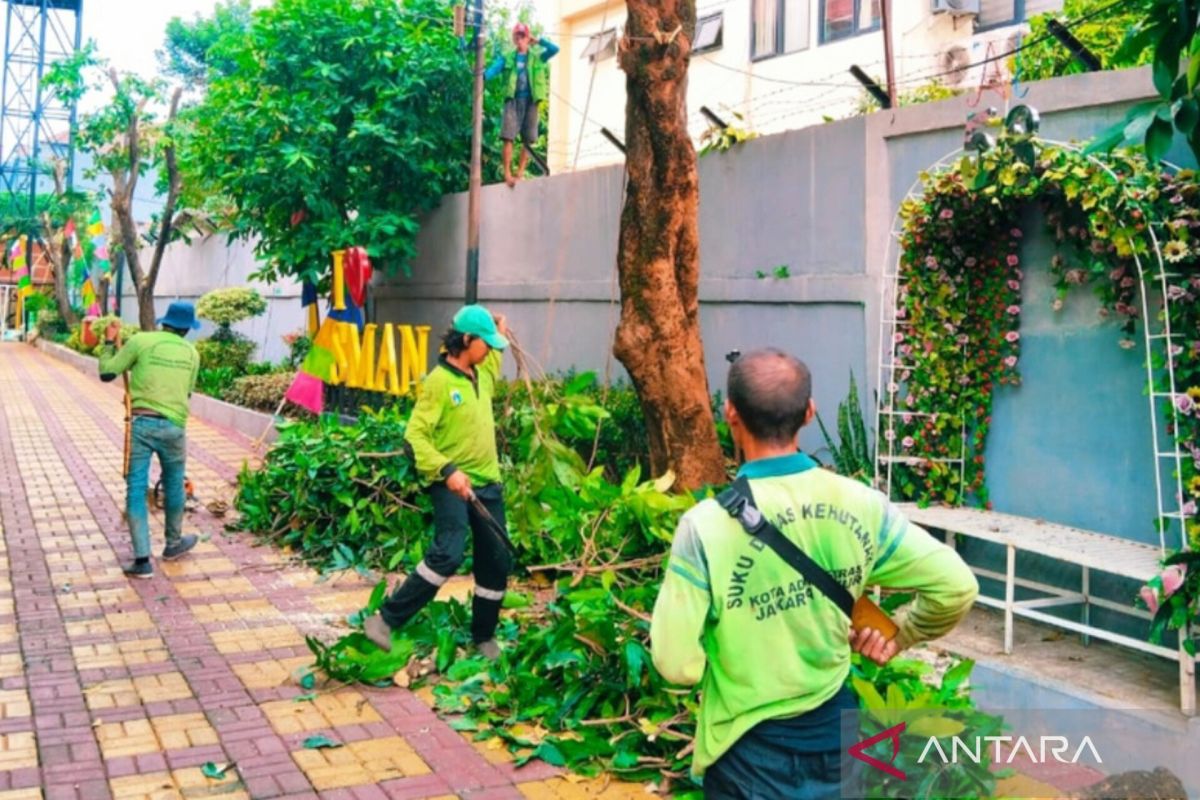Pemkot Jaktim pangkas 11 pohon di sekolah cegah tumbang saat hujan