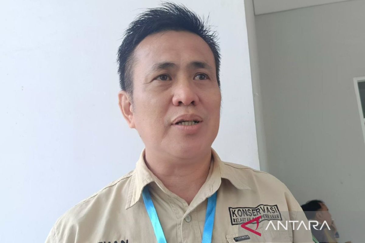 Udang windu dominasi ekspor perikanan Kaltim 