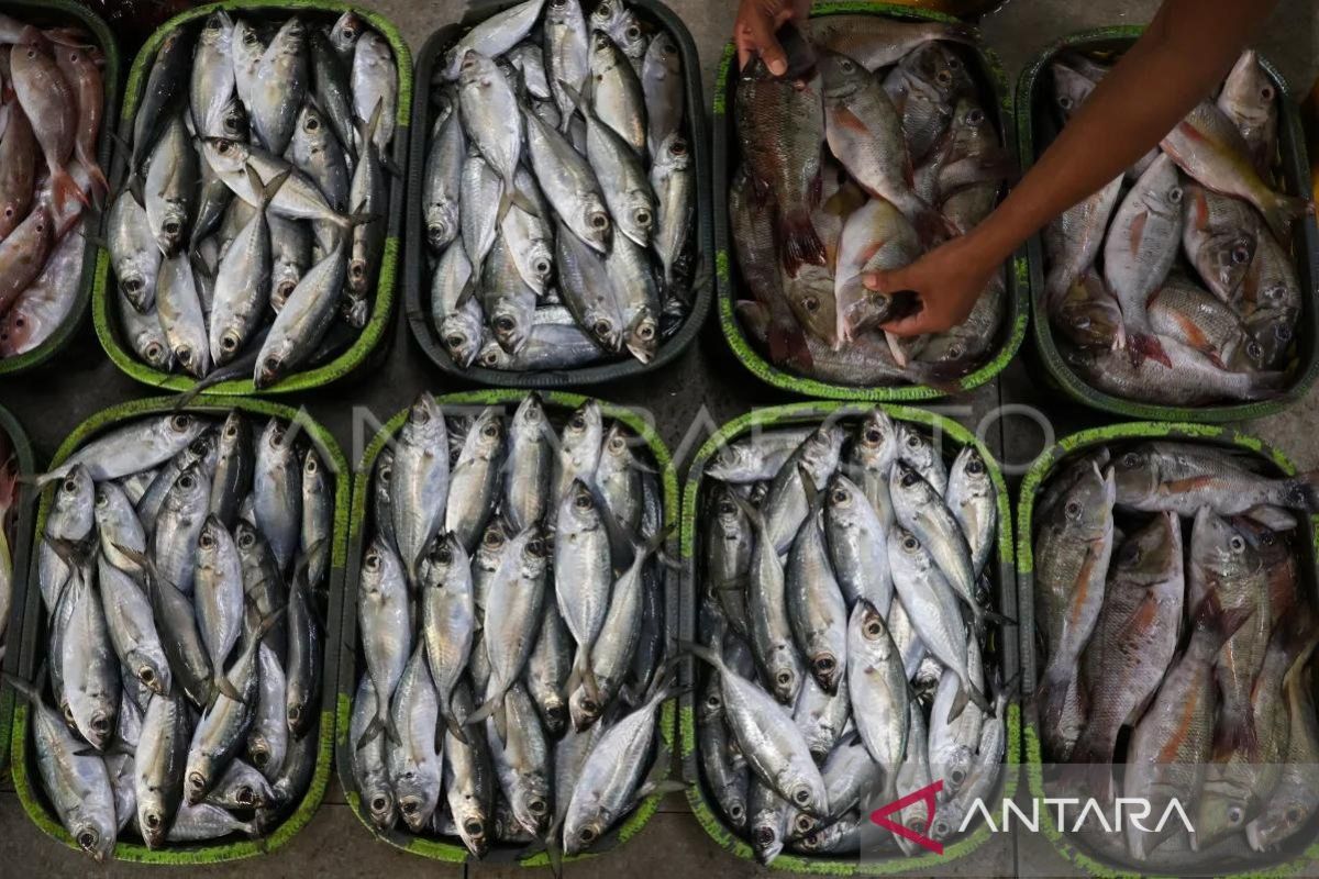 Pemprov NTT terus mengupayakan peningkatan produk kelautan dan perikanan