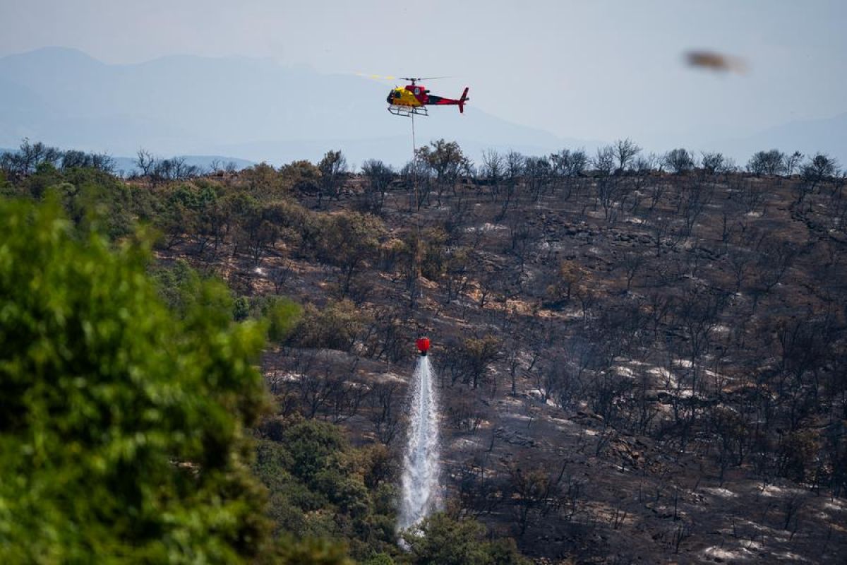 Pakar: Kebakaran hutan di Spanyol tunjukkan peningkatan risiko iklim