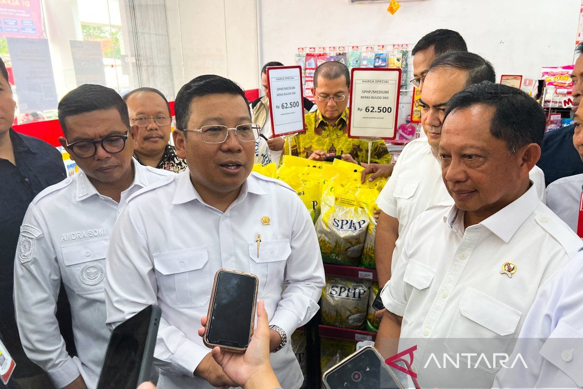 Bapanas: Realisasi distribusi beras SPHP capai 239,5 ribu ton