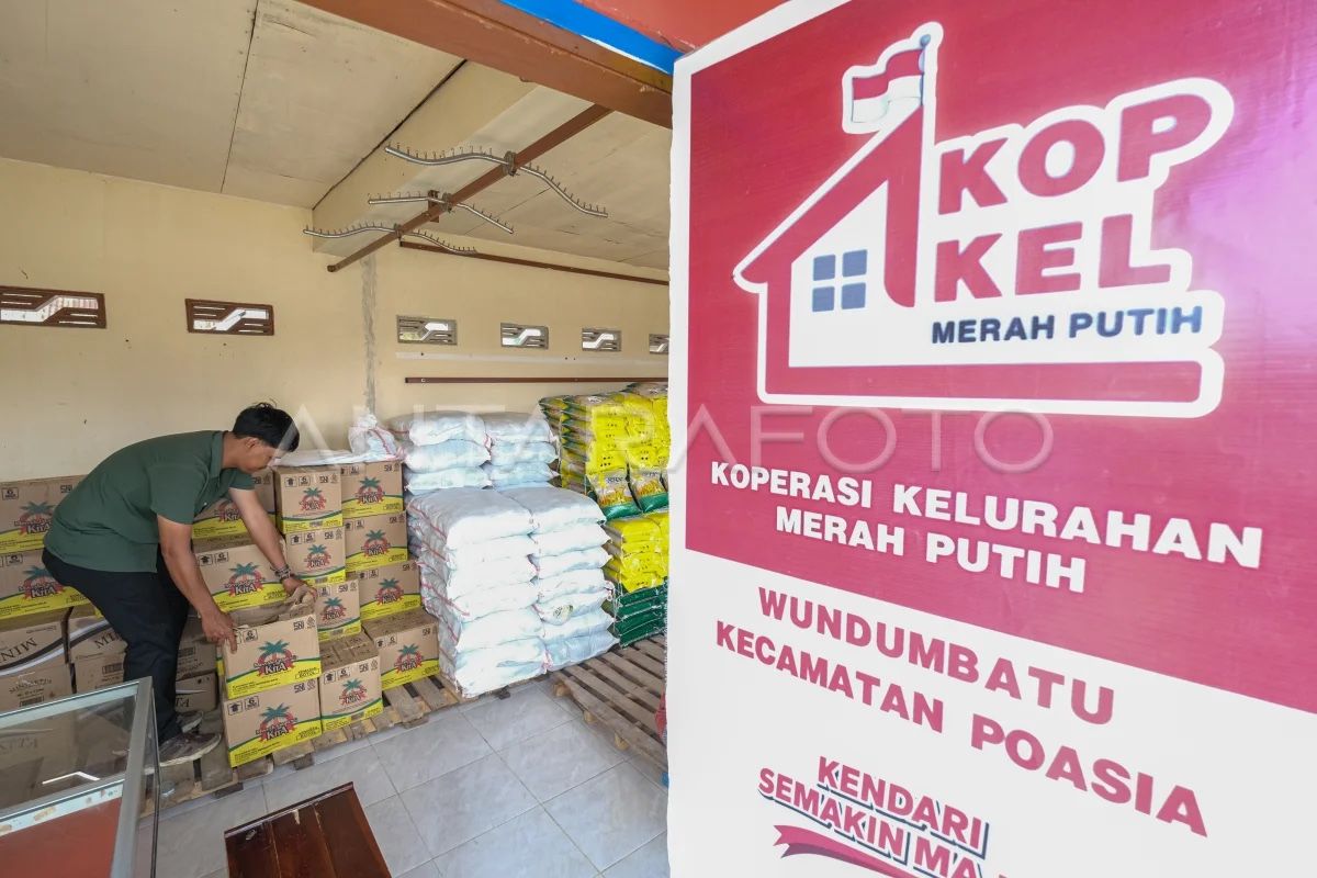 7.000 Kopdes segera dapat akses pembiayaan dari Himbara