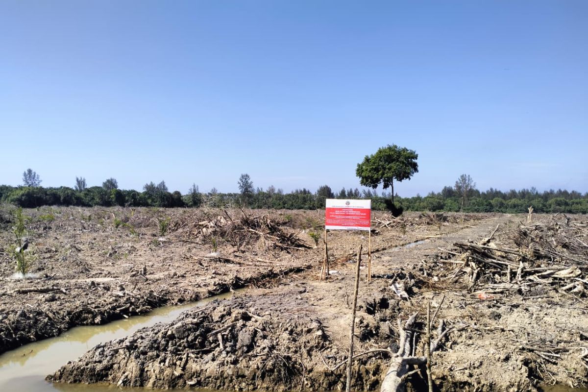 Ministry steps in to curb mangrove forest encroachment in Aceh