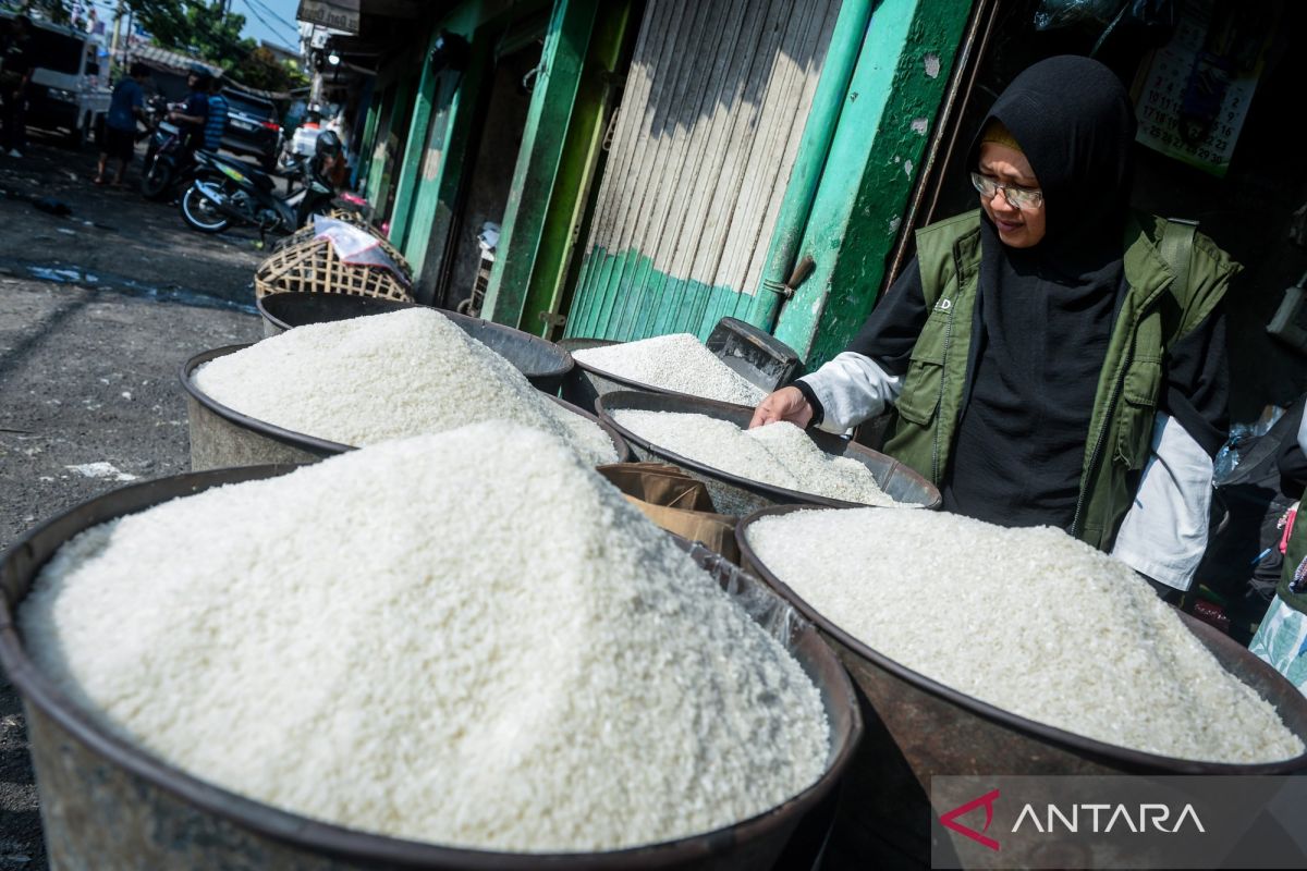 Cegah beras turun mutu dan momentum perbaikan tata kelola pangan