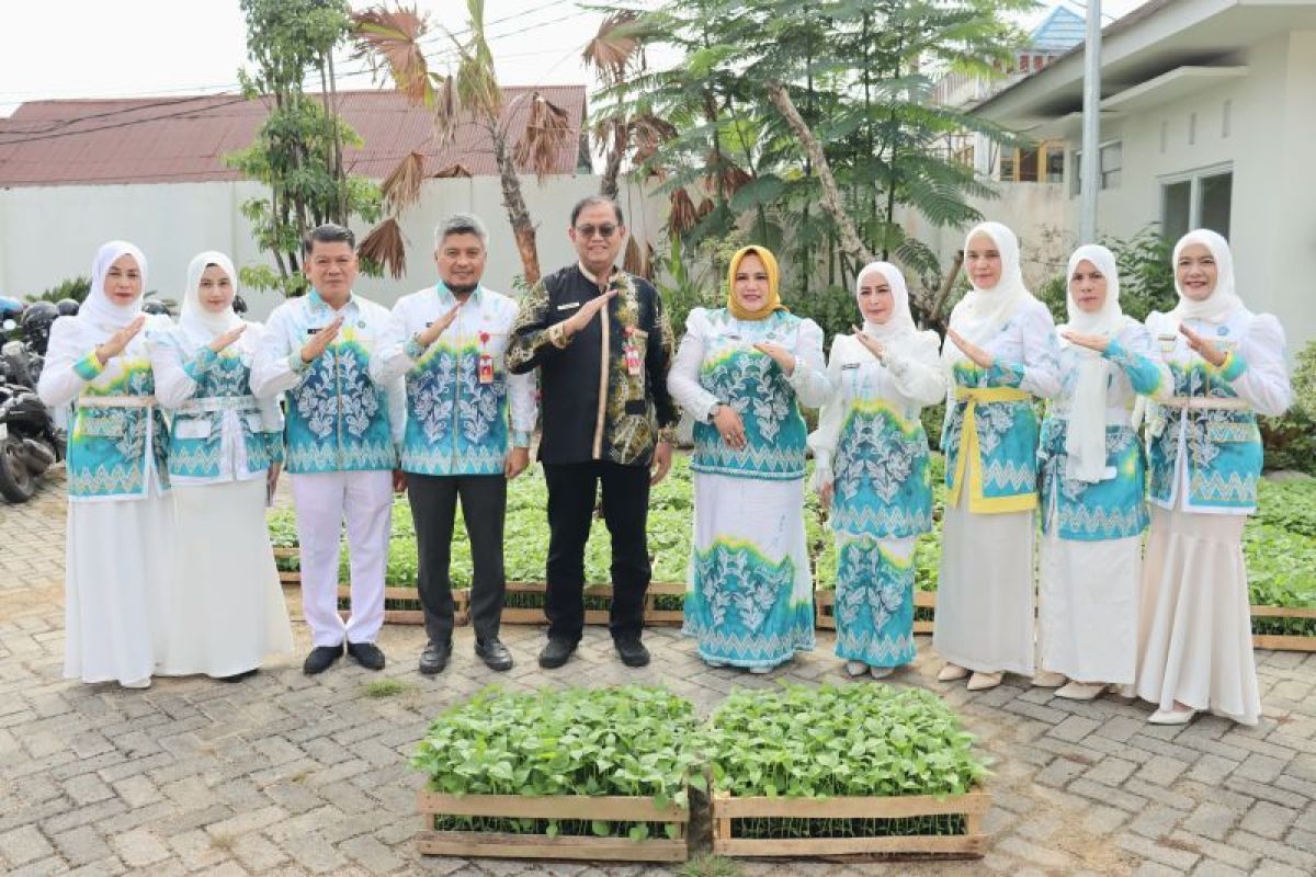 Tapin salurkan 12 ribu bibit cabai pada 12 kecamatan kendalikan inflasi