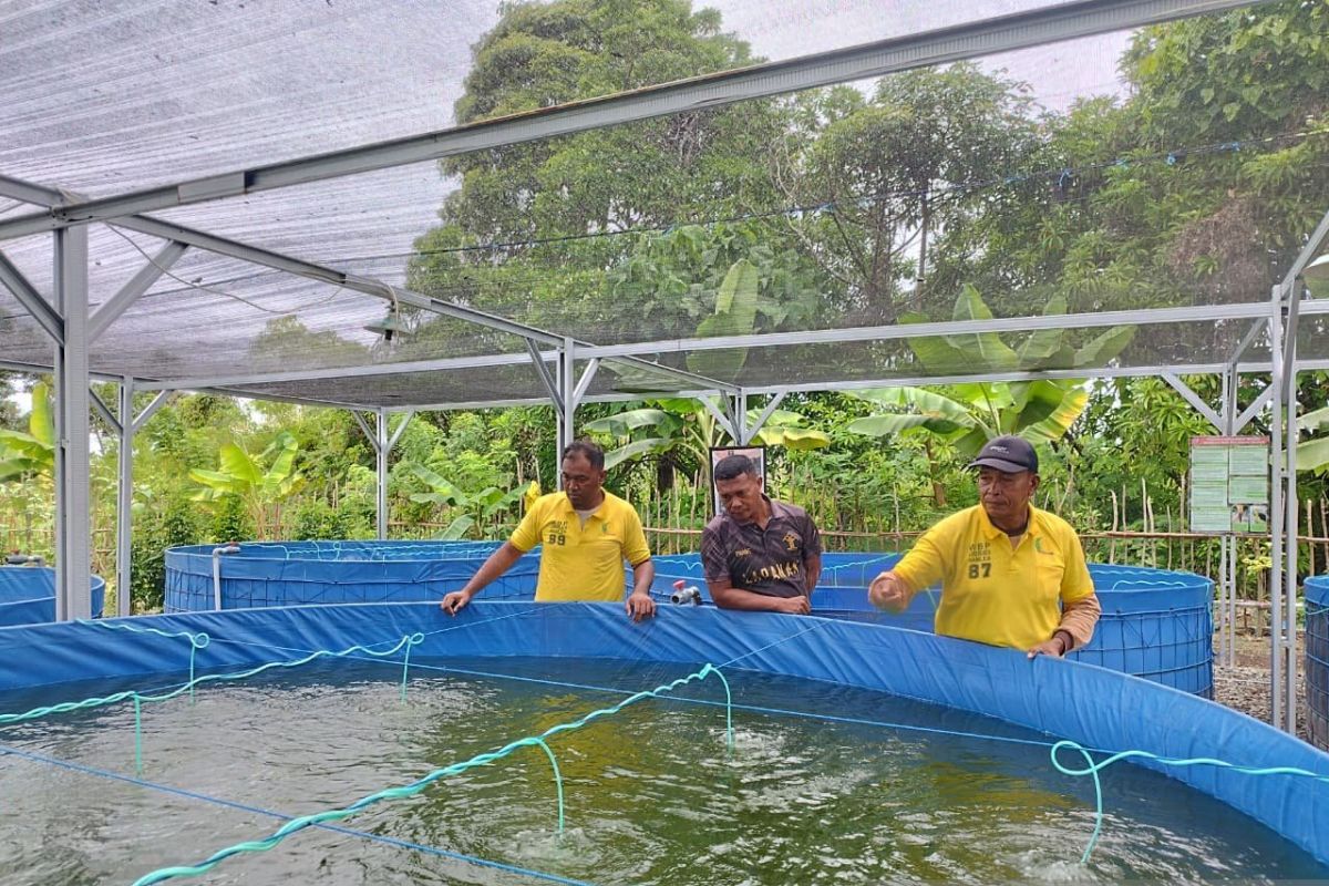 Lapas Namlea budi daya ikan air tawar untuk kemandirian  WBP