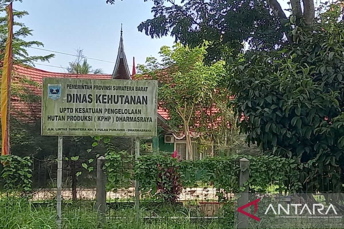 9.205 hektare sawit masyarakat Dharmasraya dalam kawasan hutan 