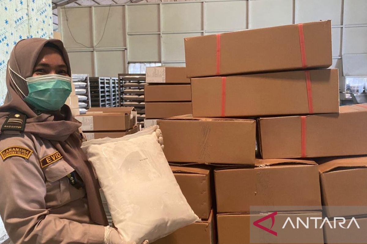 BKHIT Sumsel fasilitasi ekspor santan beku ke China 