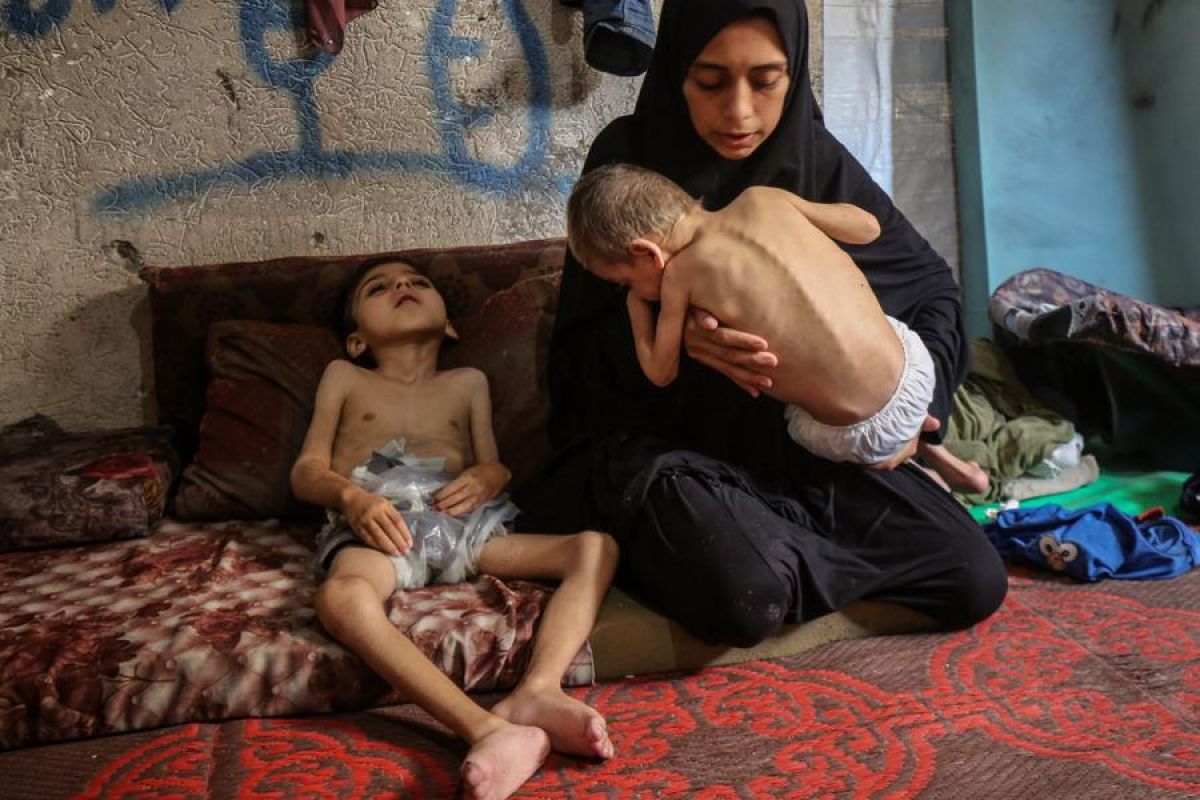 Seberapa parah bencana kelaparan di Gaza?