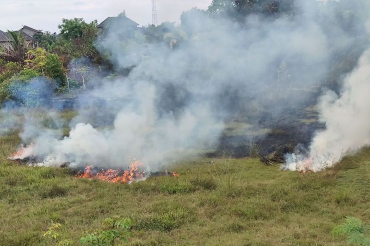 Pemerhati: Pelibatan masyarakat kawasan hutan cegah Karhutla