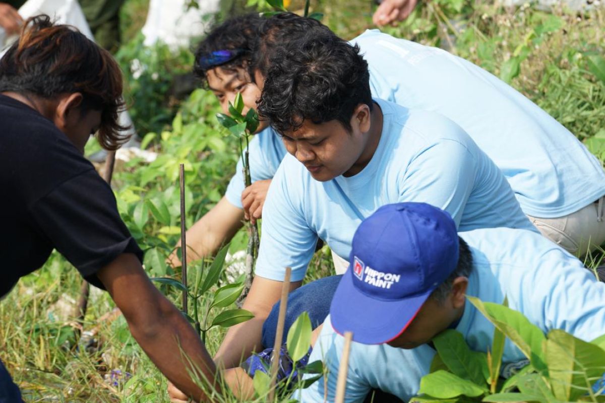 Pelindo tegaskan komitmen pulihkan 100 hektare ekosistem mangrove
