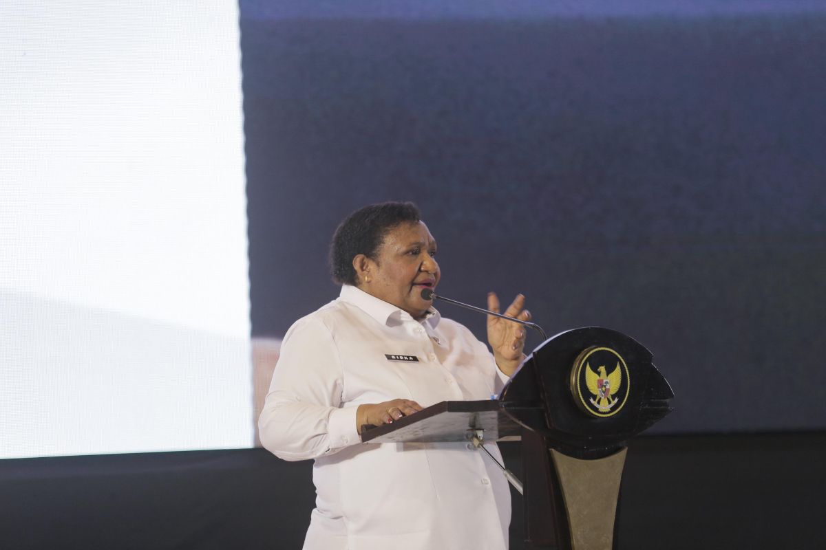 Indonesian govt pushes stronger village governance, institutions