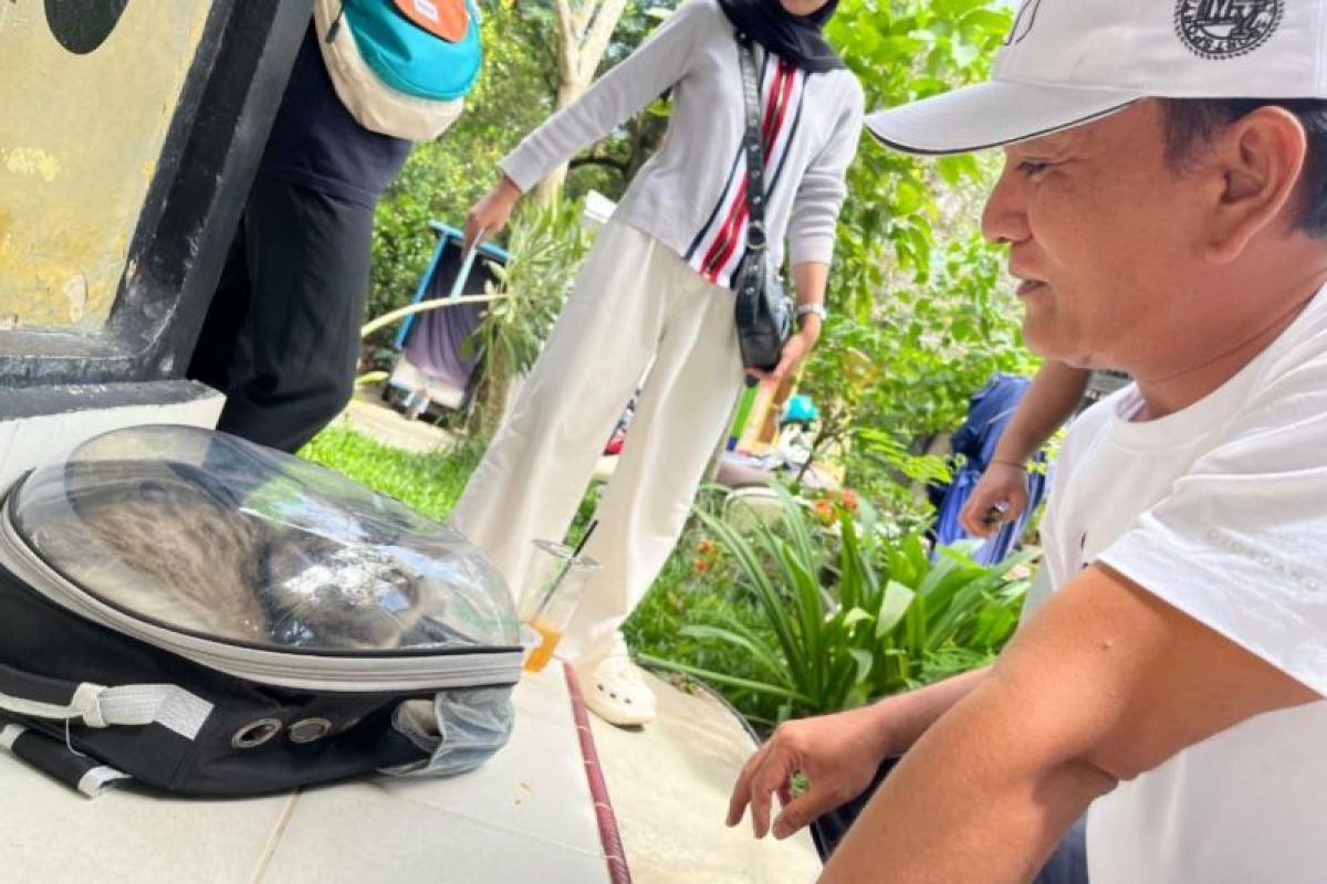 Usai gigitan anjing liar makan korban, Posko vaksin anti-rabies didirikan di Pekanbaru