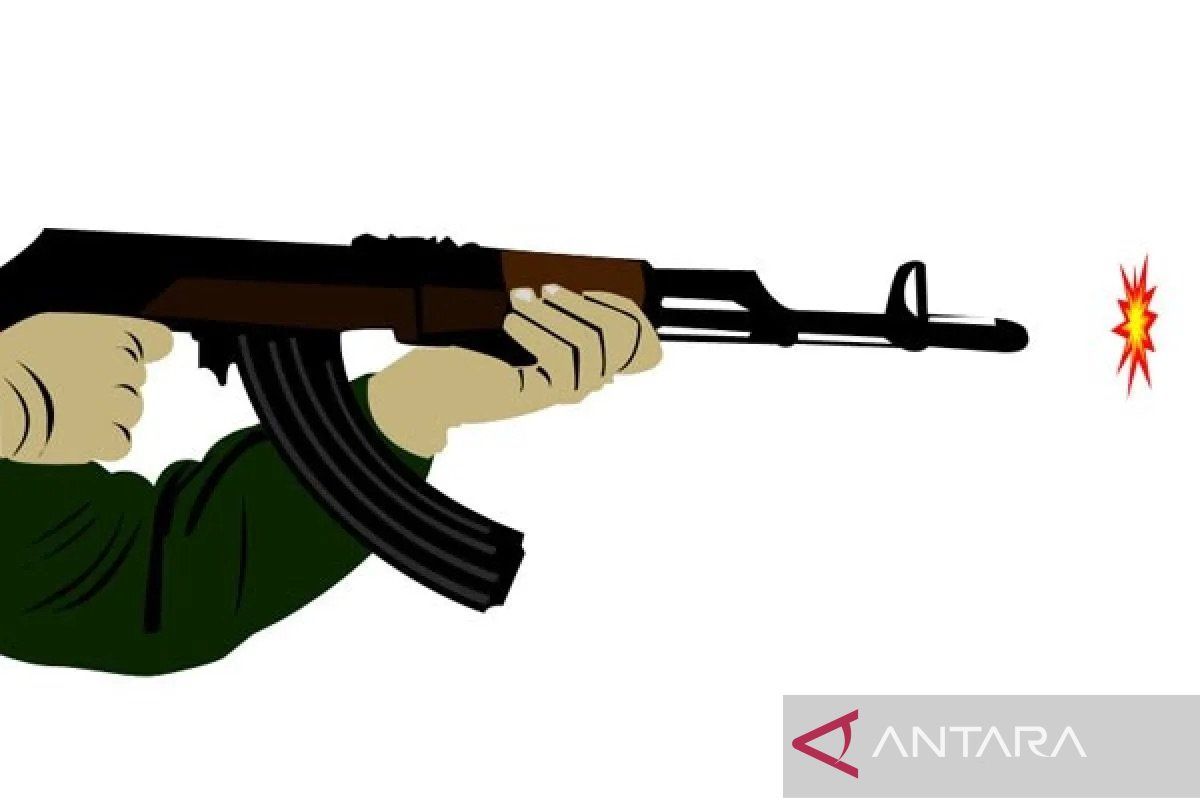 Dansatgas Pamtas: Seorang WNI asal TTU tertembak di perbatasan RI-Timor Leste