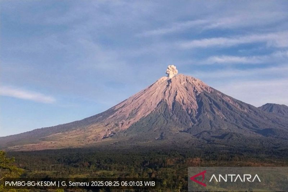 Gunung Semeru kembali erupsi dengan letusan setinggi 700 meter