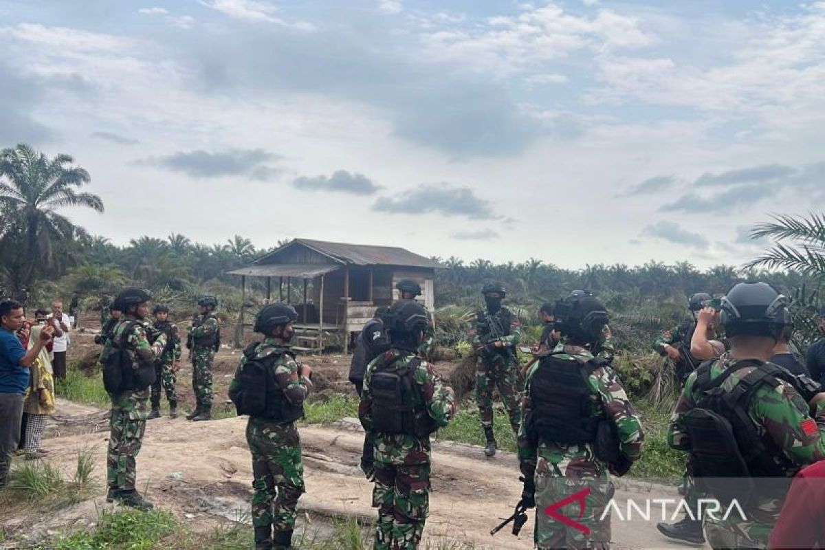 Mencari jalan tengah ruang hidup di Taman Nasional Tesso Nilo
