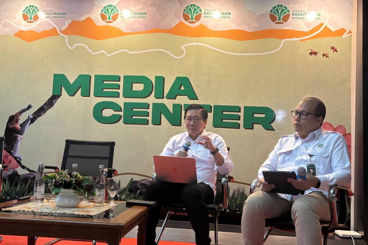Ministry confirms no forest permit issued on Sipora Island