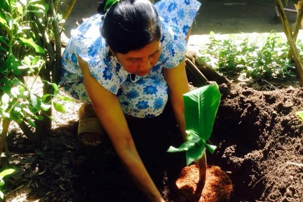 Cacingan juga perlu diwaspadai pada usia dewasa