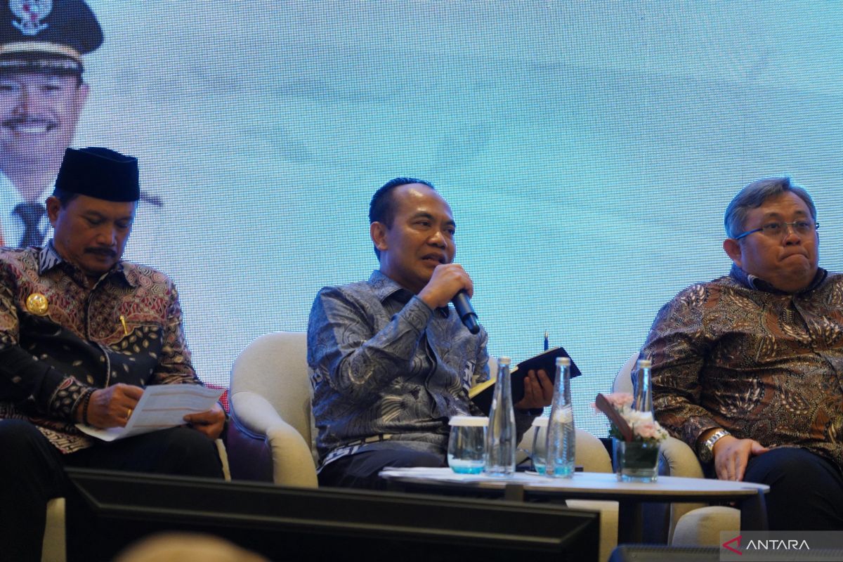 Pemerintah: Pengembangan KEK bisa atasi kesenjangan ekonomi di daerah