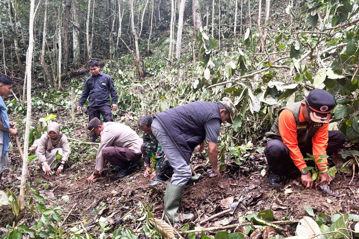Pemkab Solok laksanakan program pengembangan pertanian terpadu