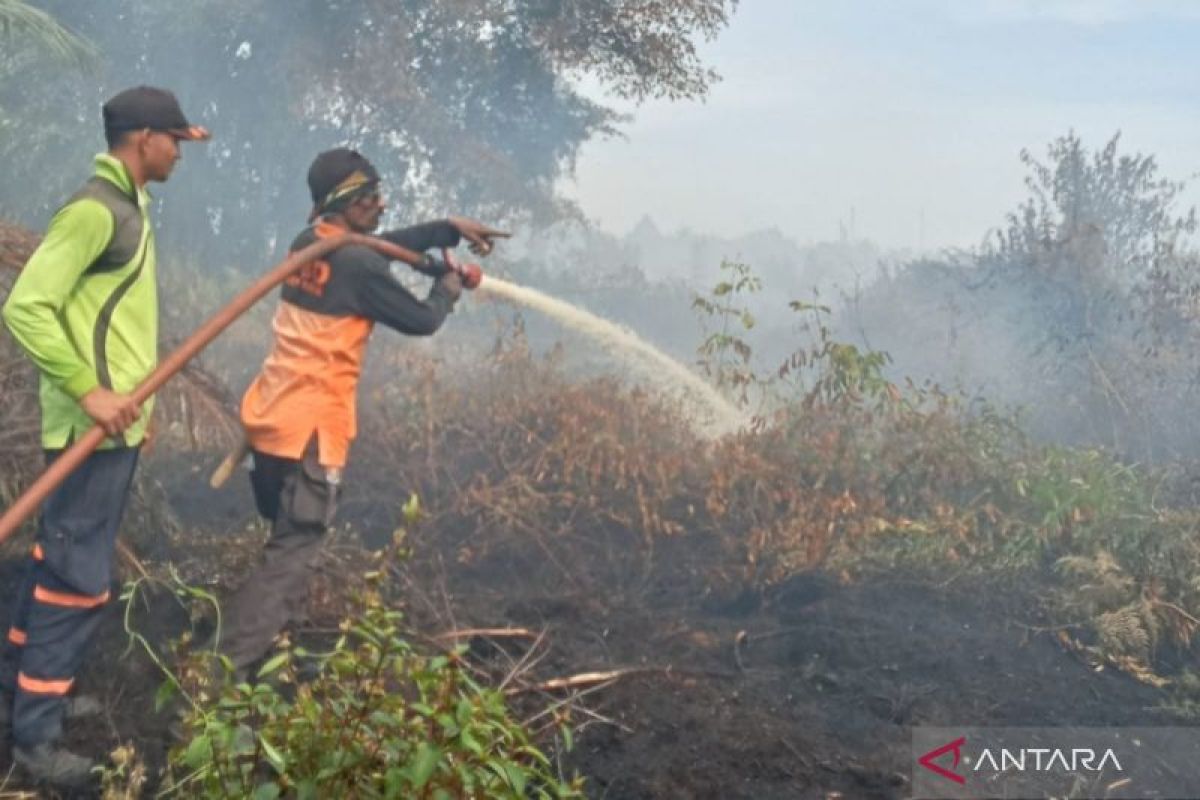 Indonesia's BNPB deploys water pumps to fight Aceh land fires