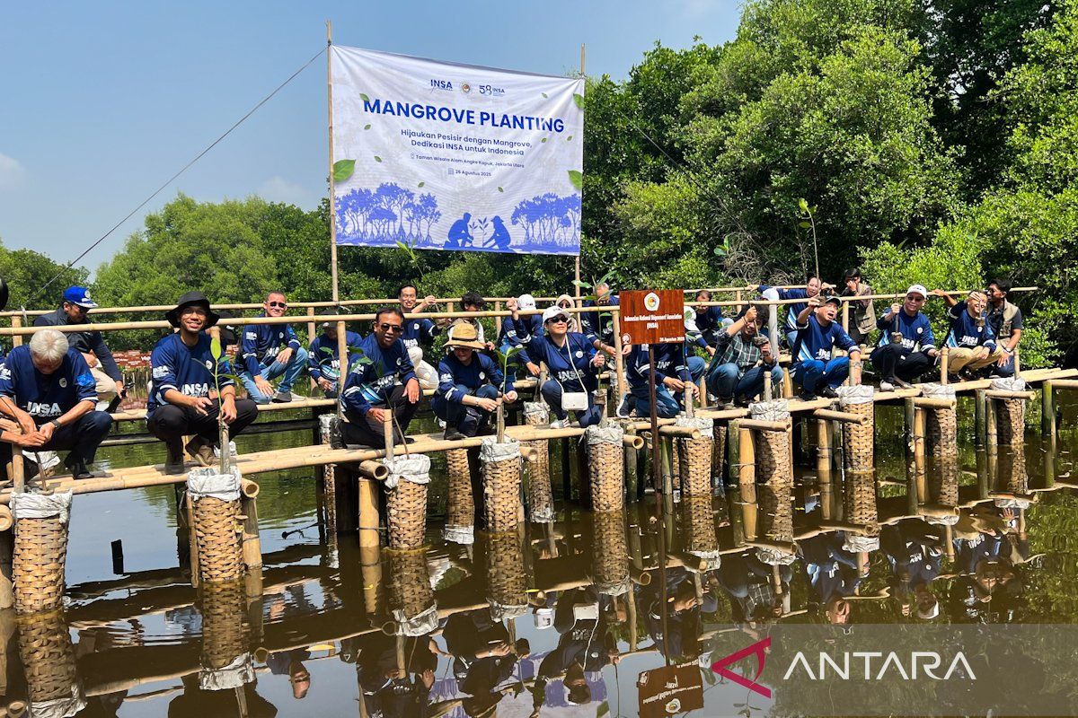 DPP INSA tanam 5.000 bibit mangrove dukung pelestarian lingkungan