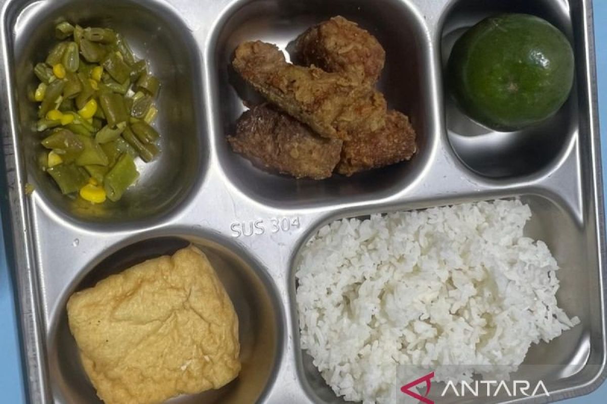 Jumlah MBG harian dari dua dapur di Jayawijaya sebanyak 7.406 porsi