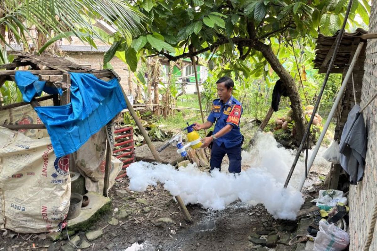 Pemkab Lampung Selatan gencarkan pengasapan untuk cegah penularan DBD
