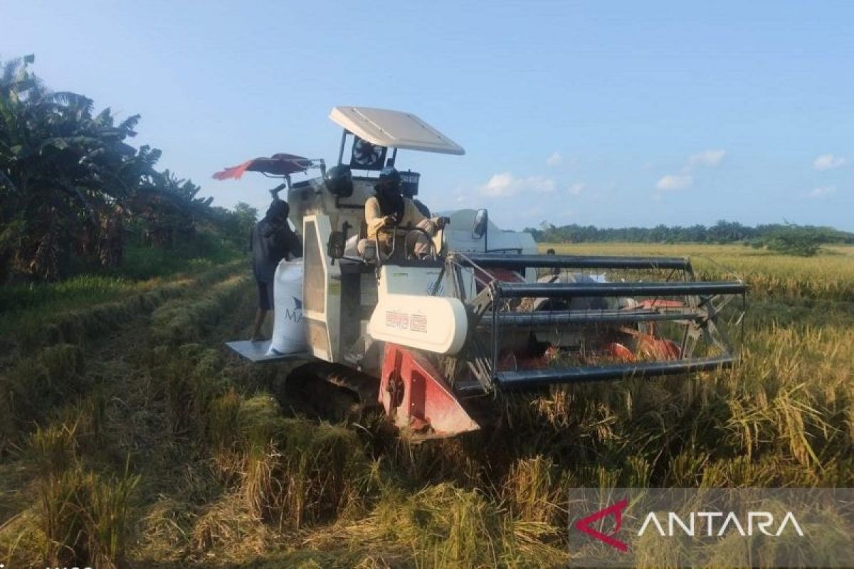 Komisi B DPRD Serdang Bedagai rencanakan sidak kilang padi untuk pertahankan harga gabah