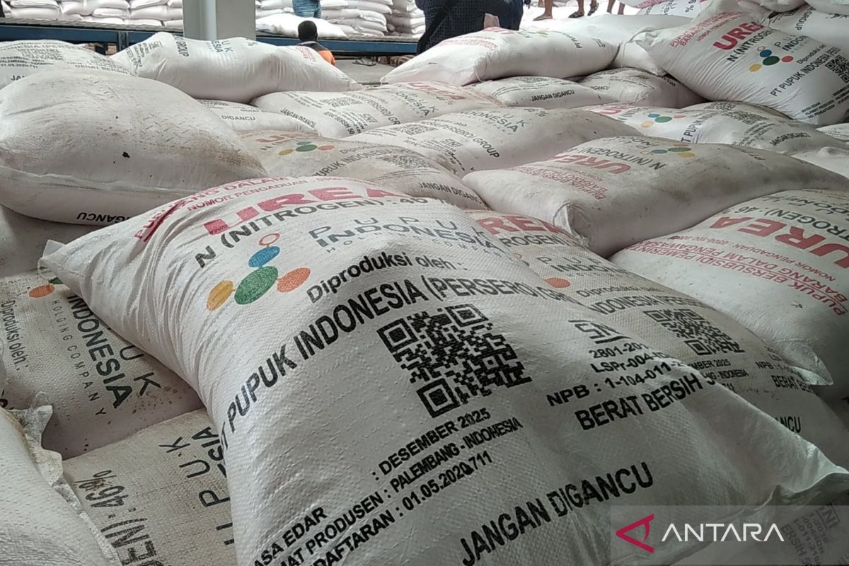 Penyaluran pupuk urea  di Kudus capai 41,87 persen