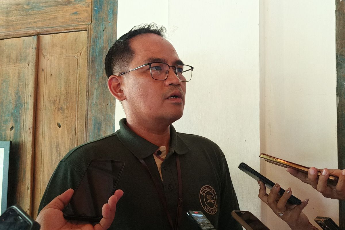 PLN menawarkan tiket Bali EV Fest lebih murah melalui PLN Mobile